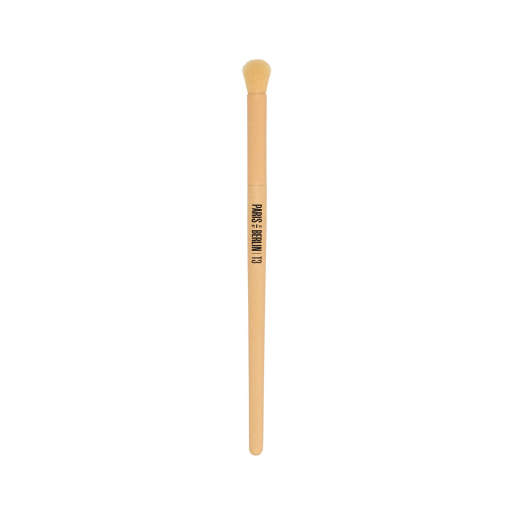 PINCEAU TECHNIQUE 3